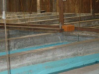 Botia Stock House 3