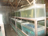 Jakarta Farm 7